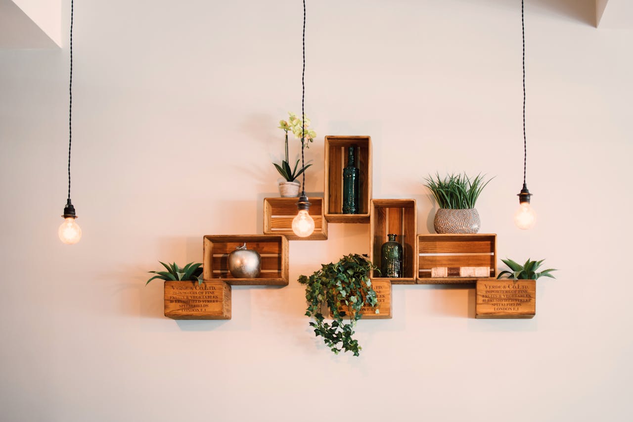 Home Contemporary wooden shelves with plants and decor, illuminated by hanging lights.